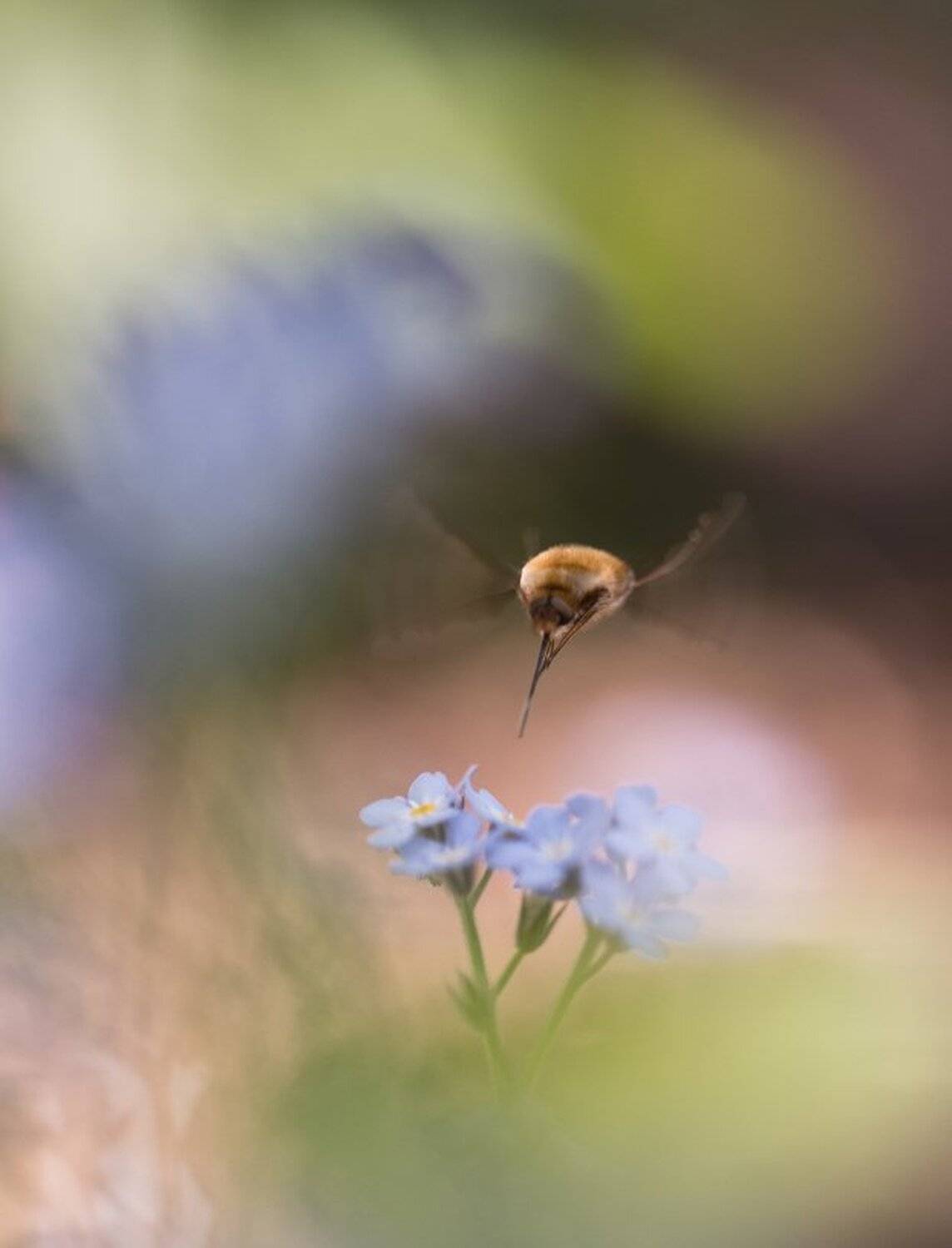 , Геннадий Мещеряков