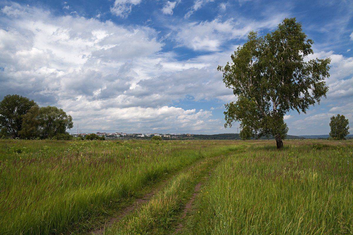 , Kuchkai_murza