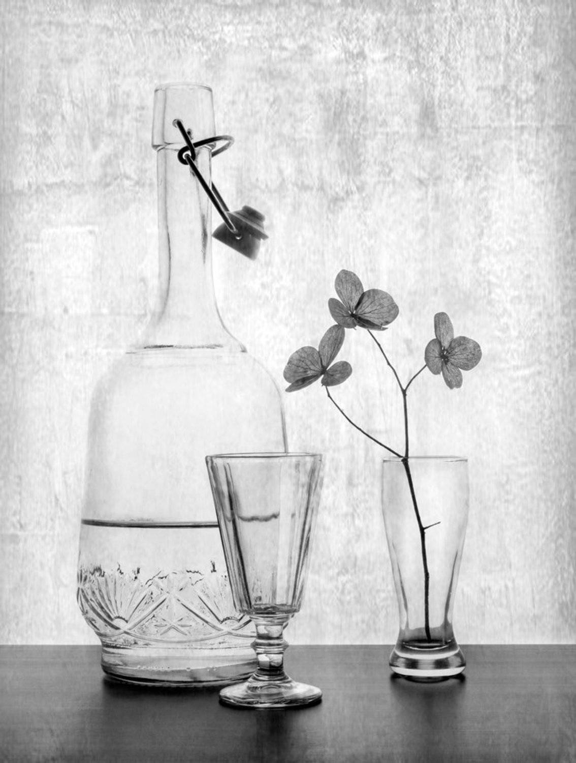 , Людмила Прокофьева