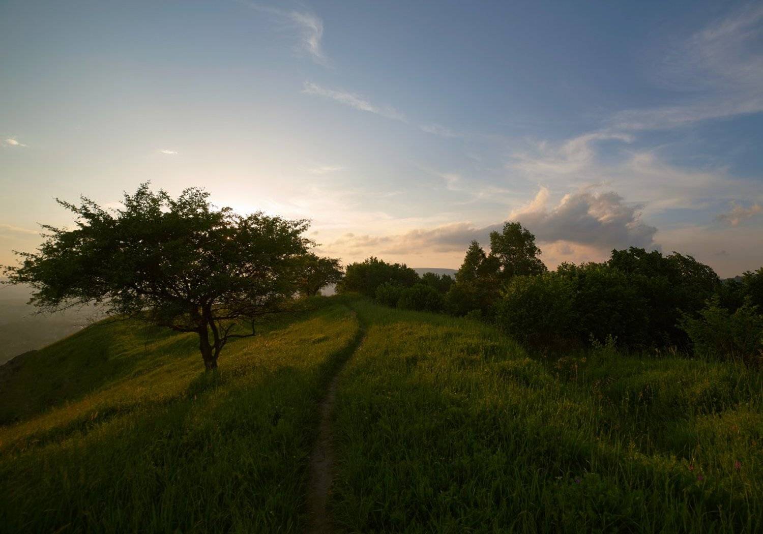 , Гоголев Андрей