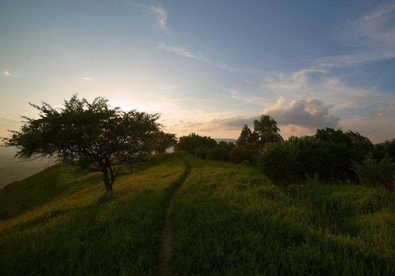 *** фото превью