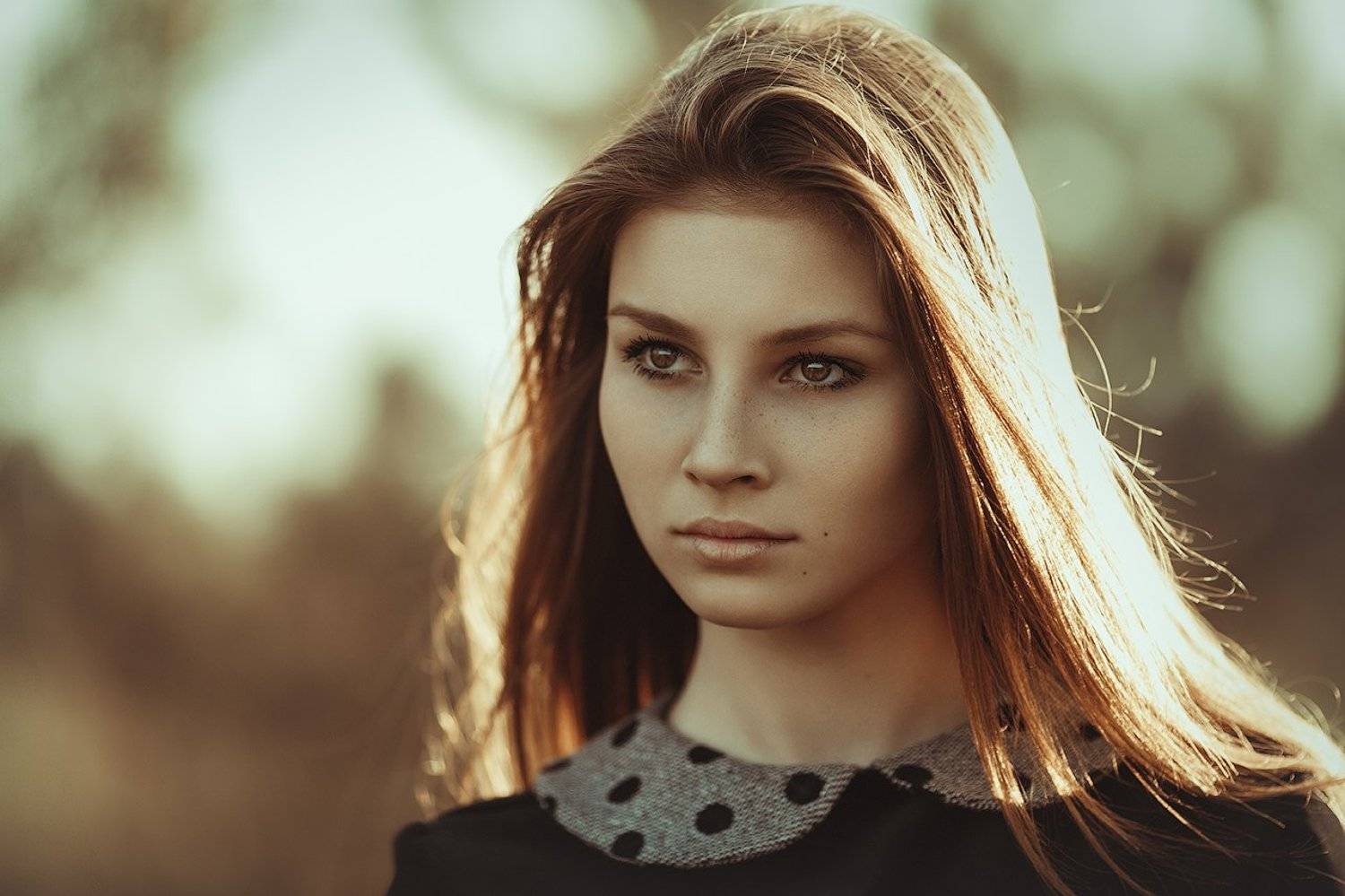 , Александр Кравцов