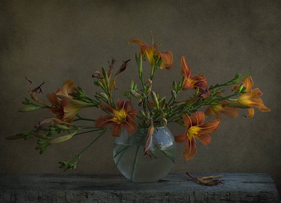 , Петрова Татьяна