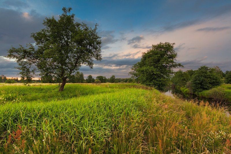 Вечер у реки фото превью