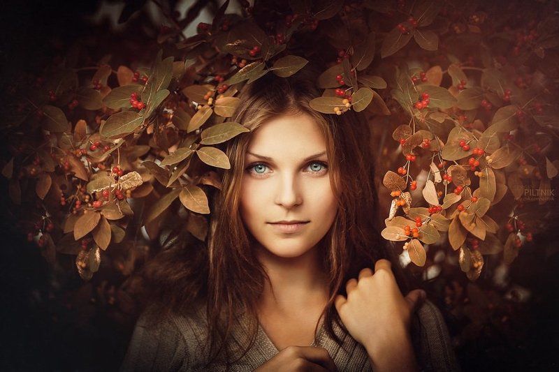 Калина фото превью