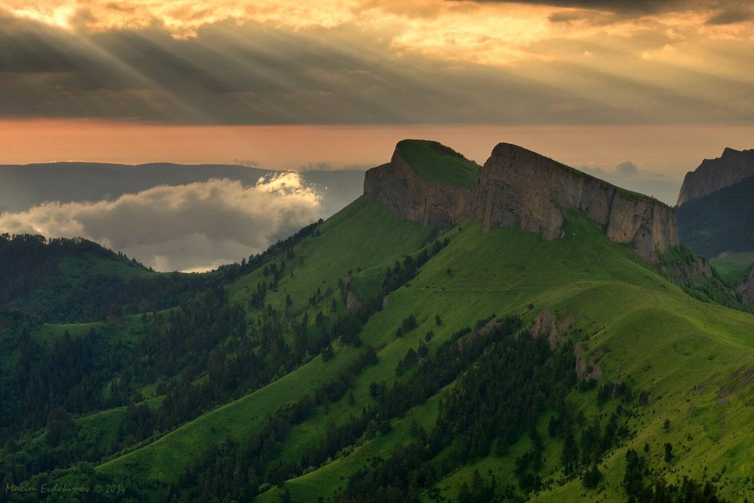 , Максим Евдокимов