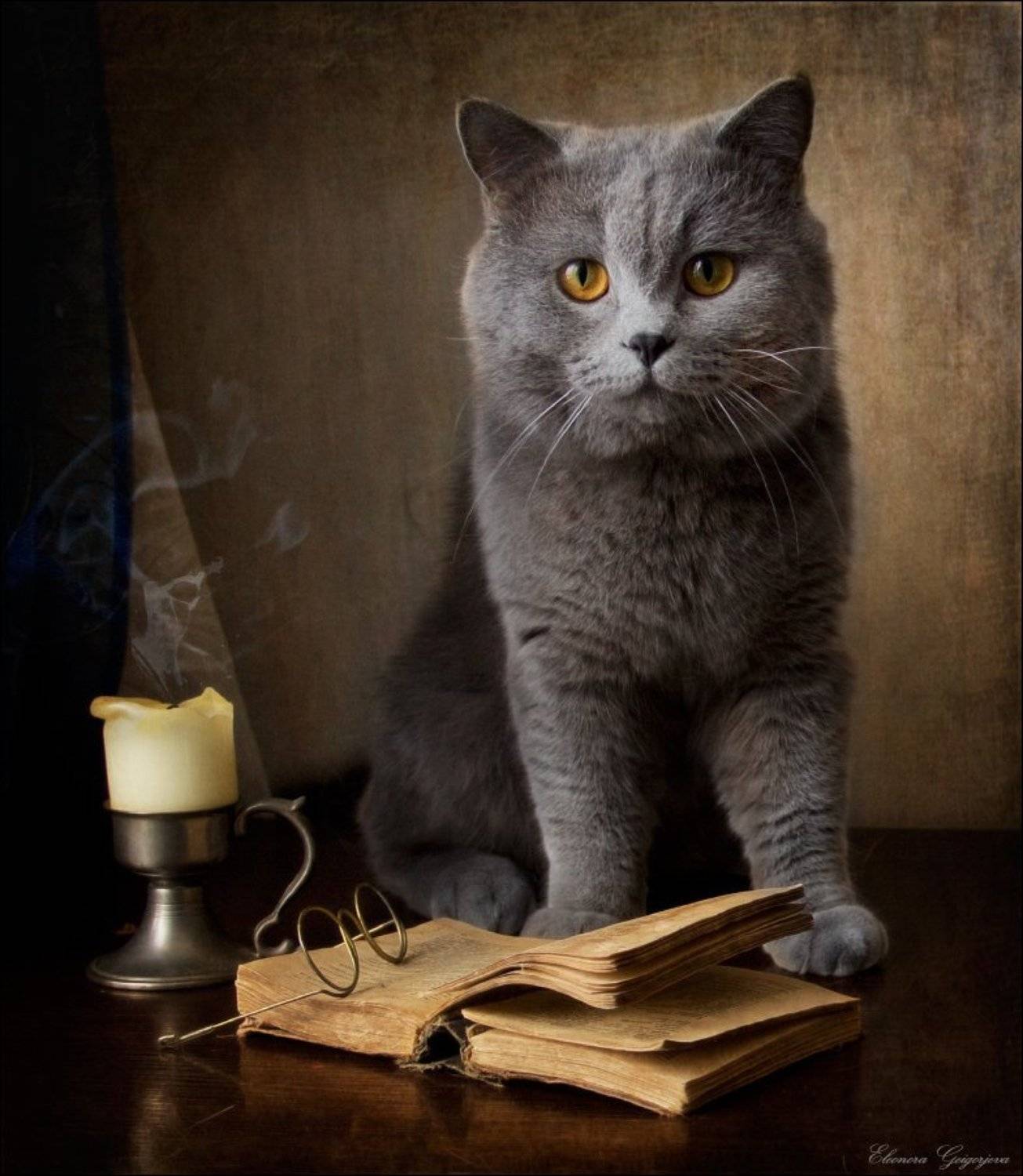 , Eleonora Grigorjeva