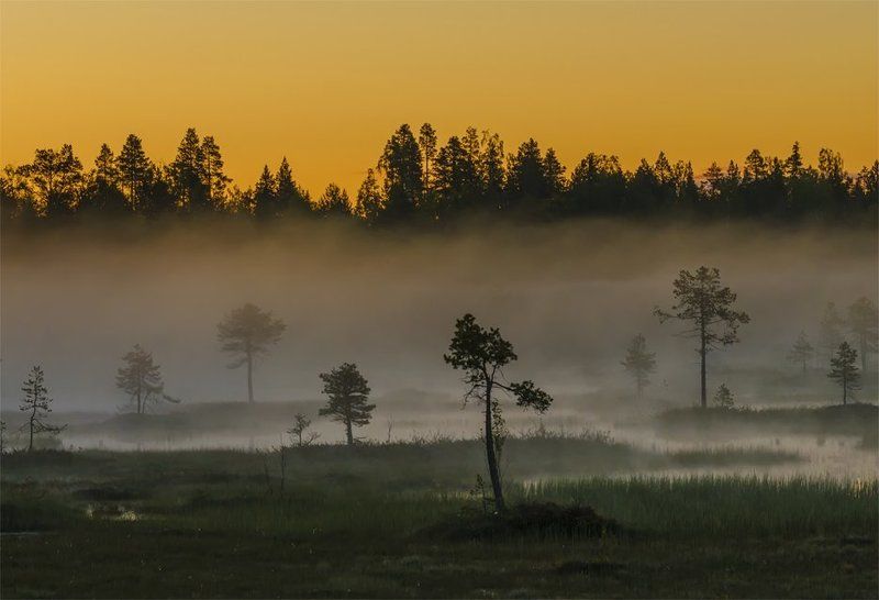 болото,  карелия, лето,  небо,  пейзаж, природа, путешествие,  рассвет,  туман, туризм, утро На заре. фото превью