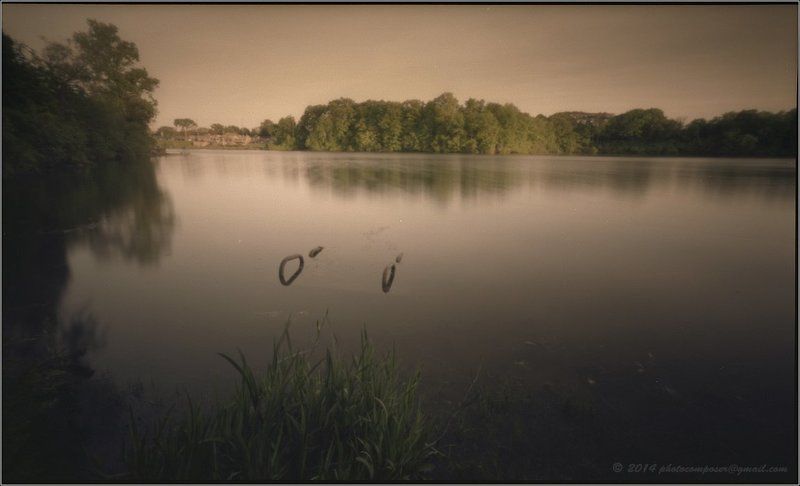 holga, 120wpc, pinhole Sweet motion.... фото превью