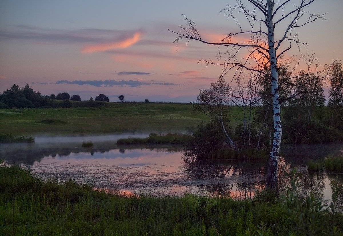 , Владимир Перепечаев