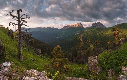 Утро все расставит по местам