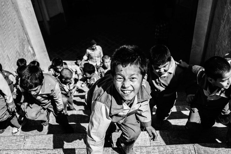 survive фото превью