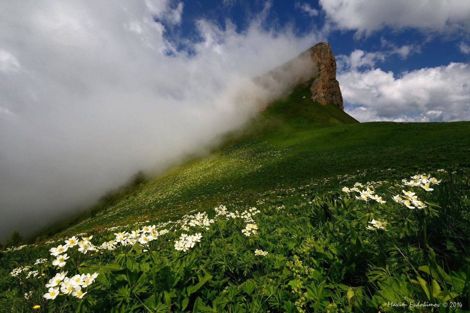 , Максим Евдокимов