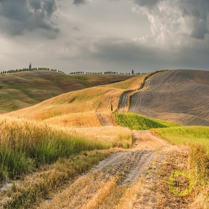 Summer Road... фото превью