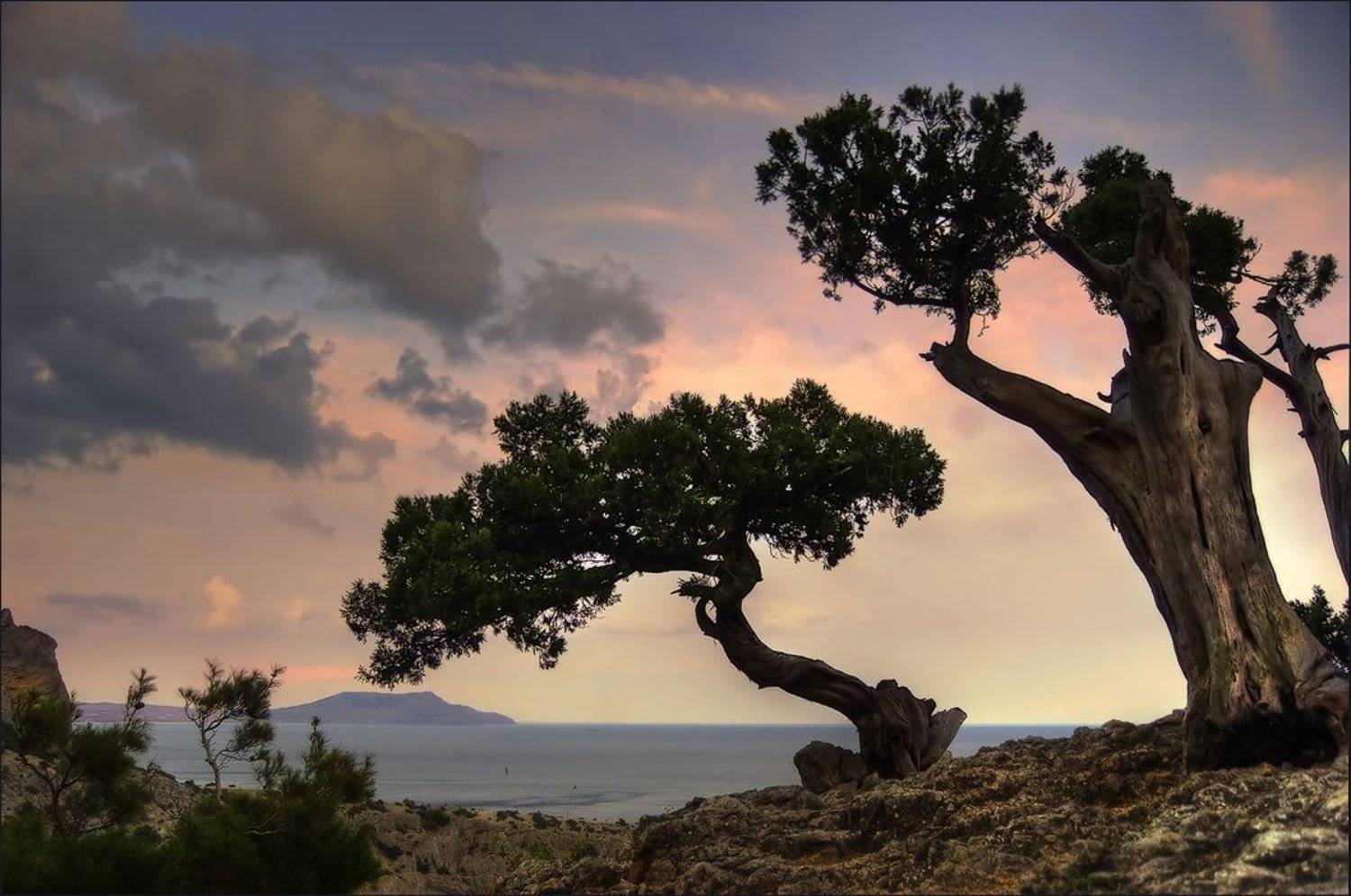 , Людмила Сиденко