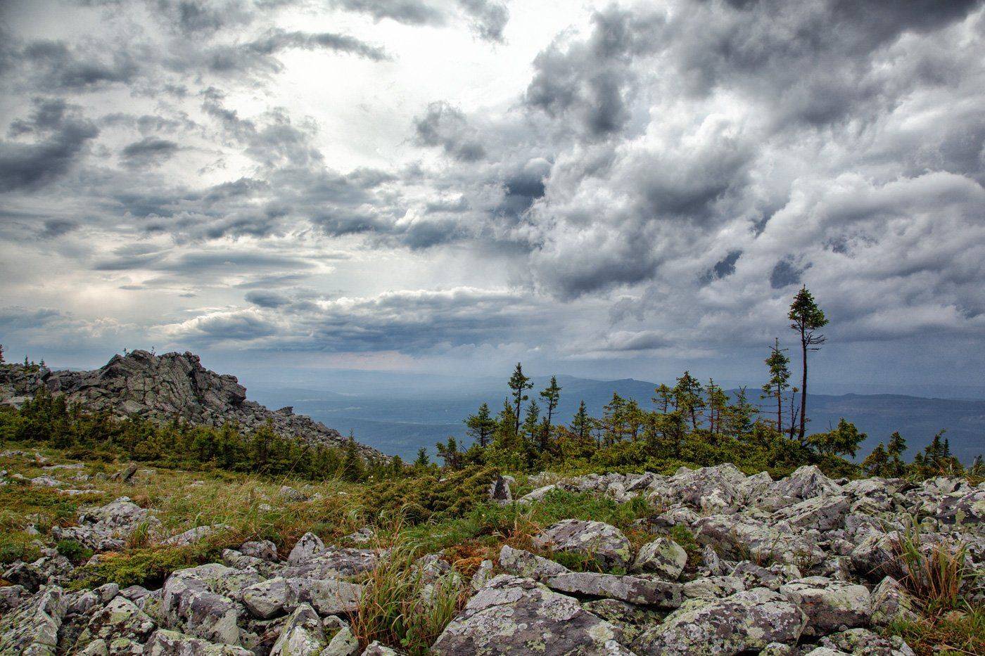 , Сергей Евдокимов