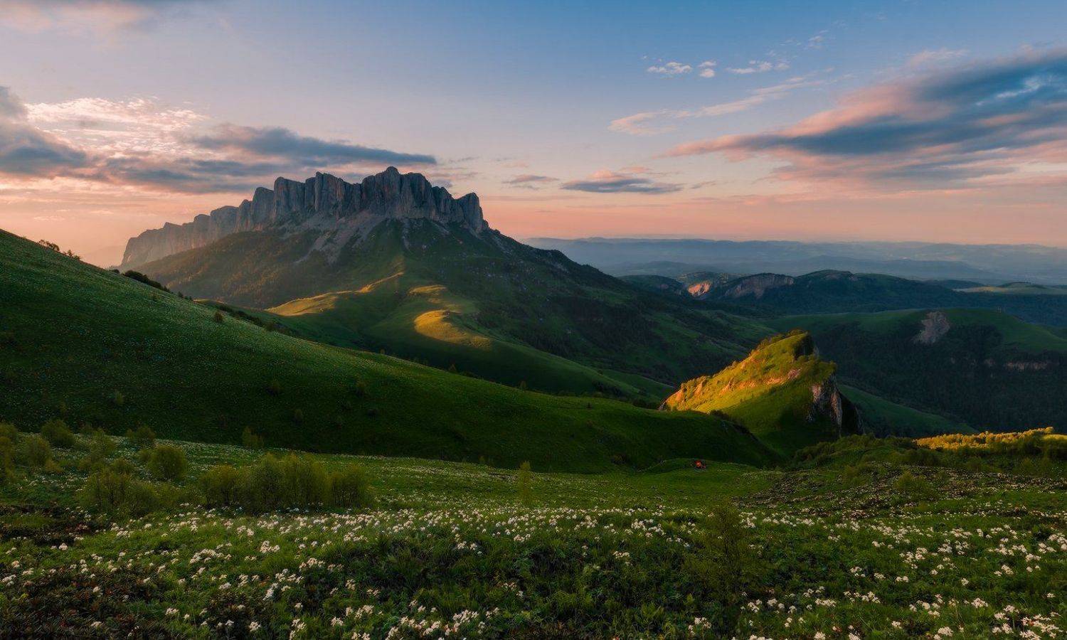 лето , июнь, тхачи, цветы, закат, ФЁДОР