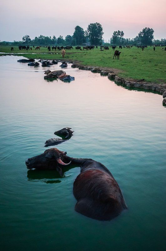 Rest фото превью