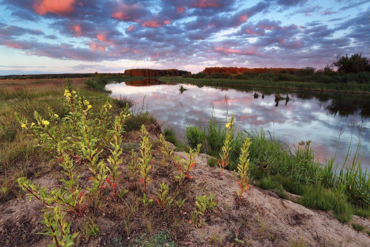 , Вейзе Максим