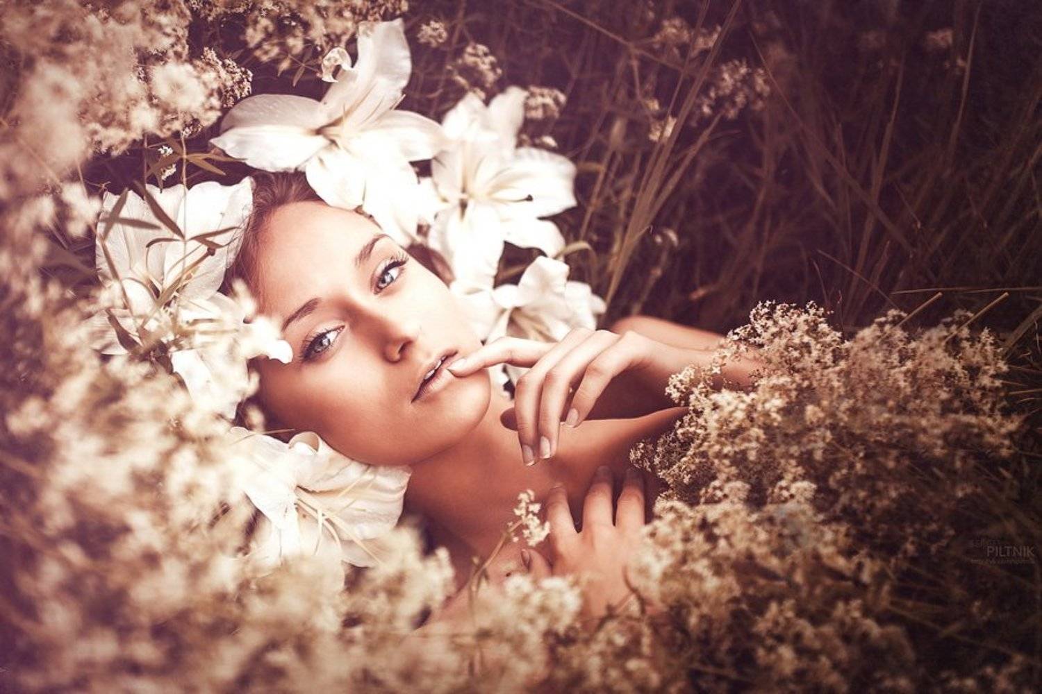 , Сергей Пилтник