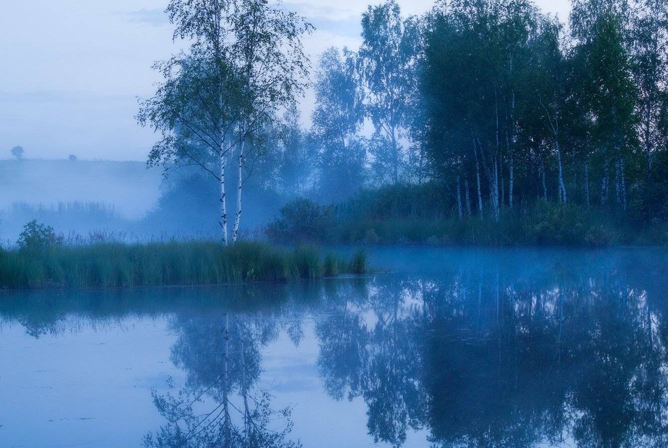 , Владимир Перепечаев