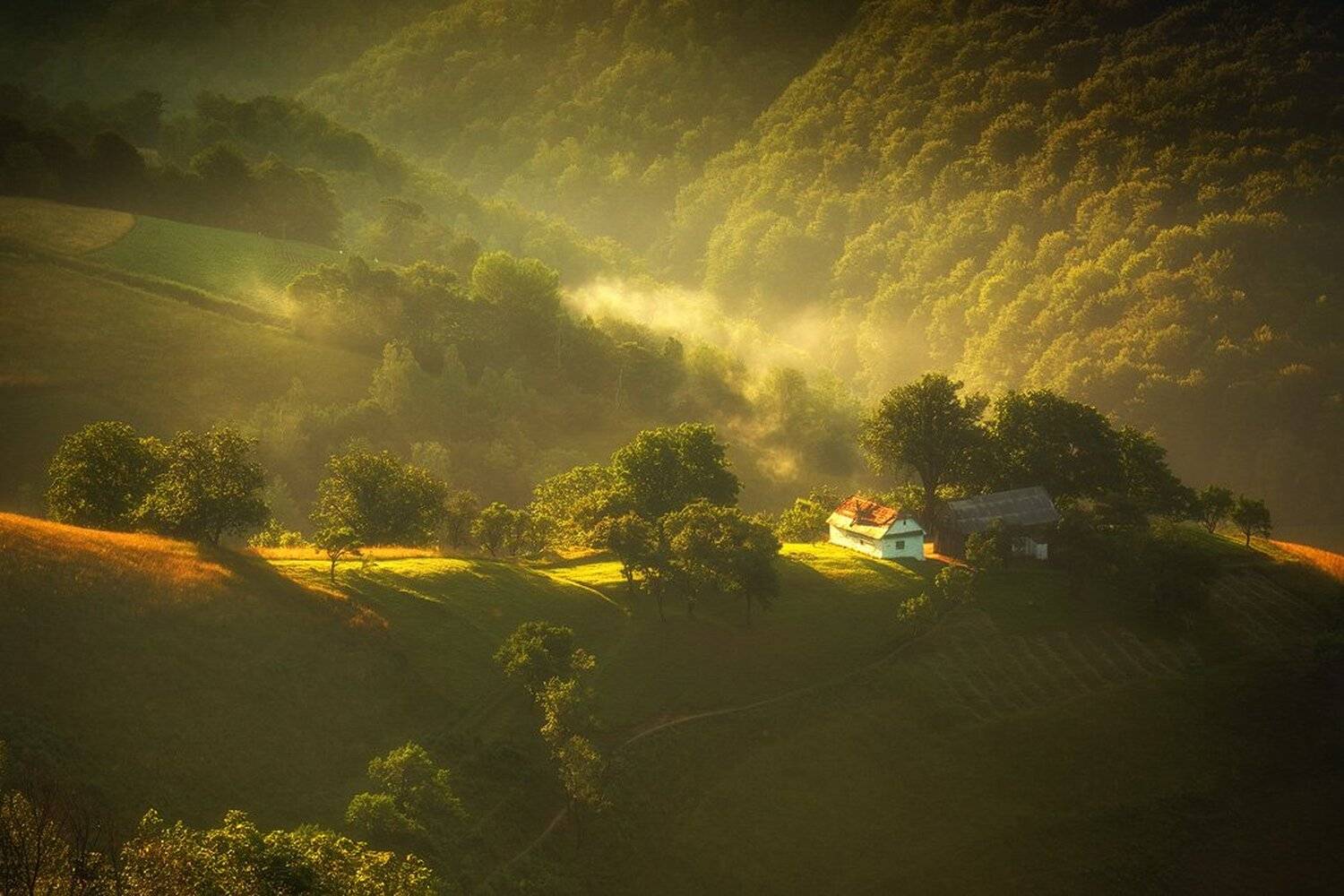 , Stefan Chirobocea