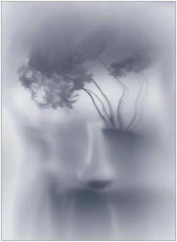 Призрачный натюрморт