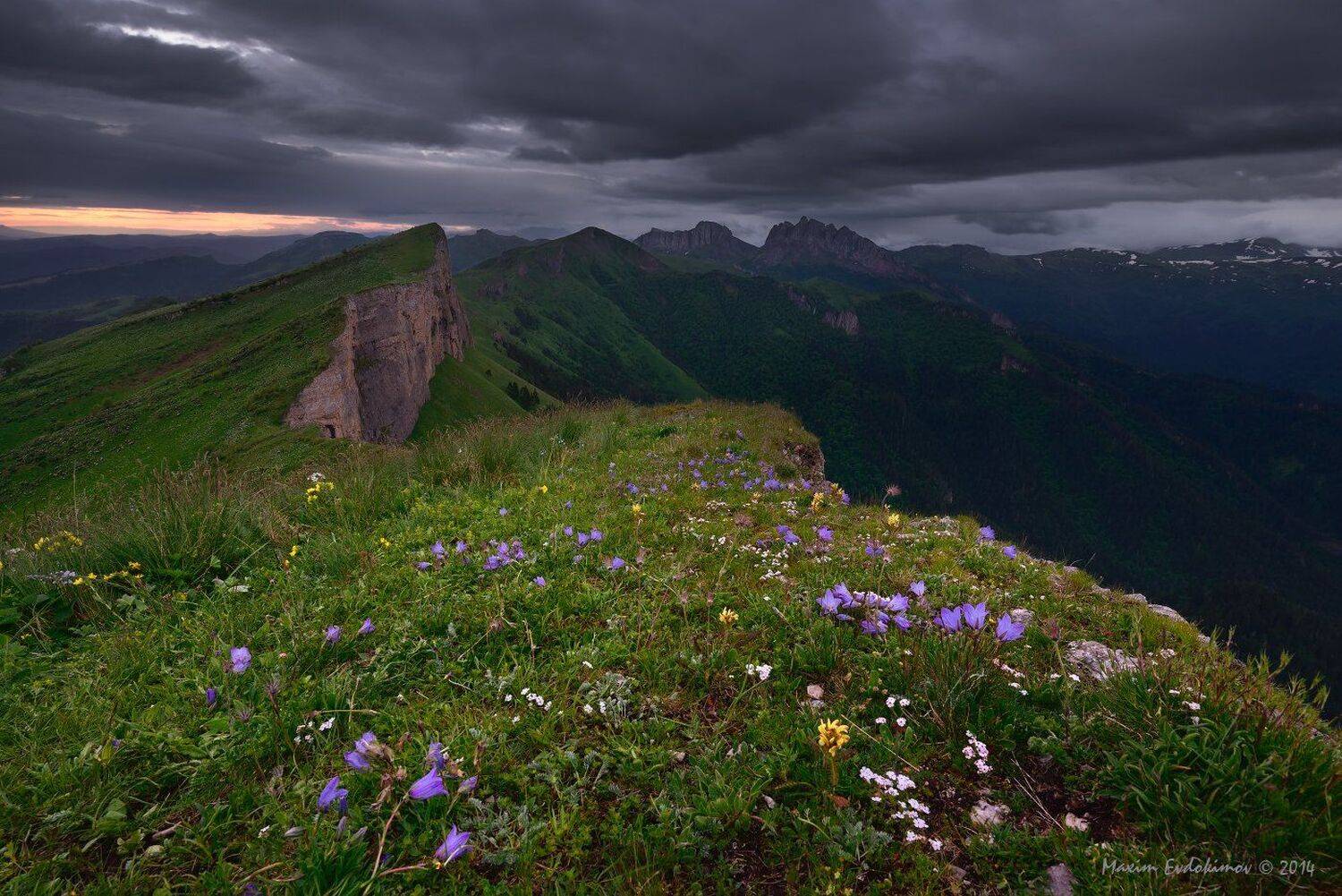 , Максим Евдокимов