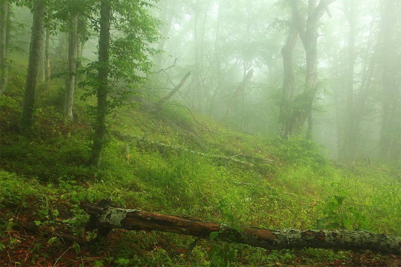 После дождя фото превью