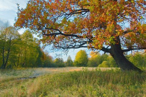 Pro 8 времён года под сенью великана…