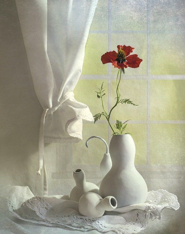 Маки, Настроение, Цветы Аленькие.... фото превью