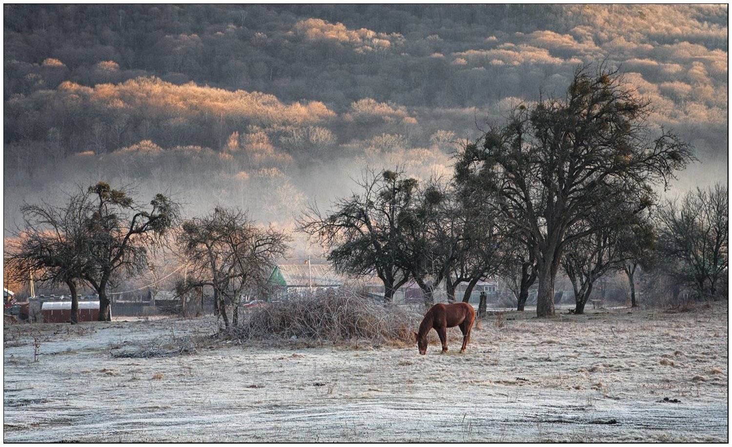 , Олег Дунаев