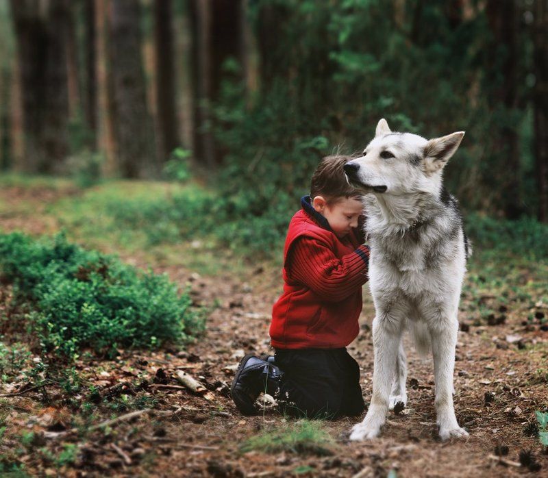 фото превью