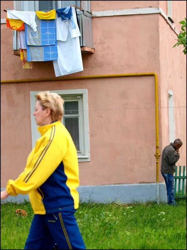 собачка фото превью