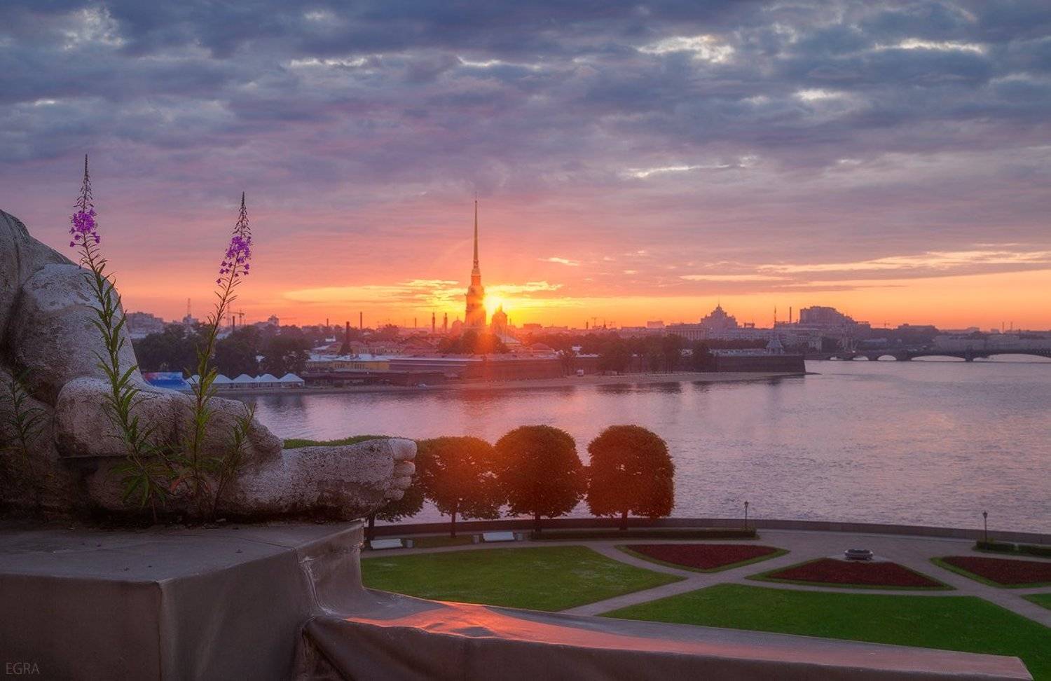 Иван-чай, Петропавловский, Санкт-петербург, Собор, EGRA