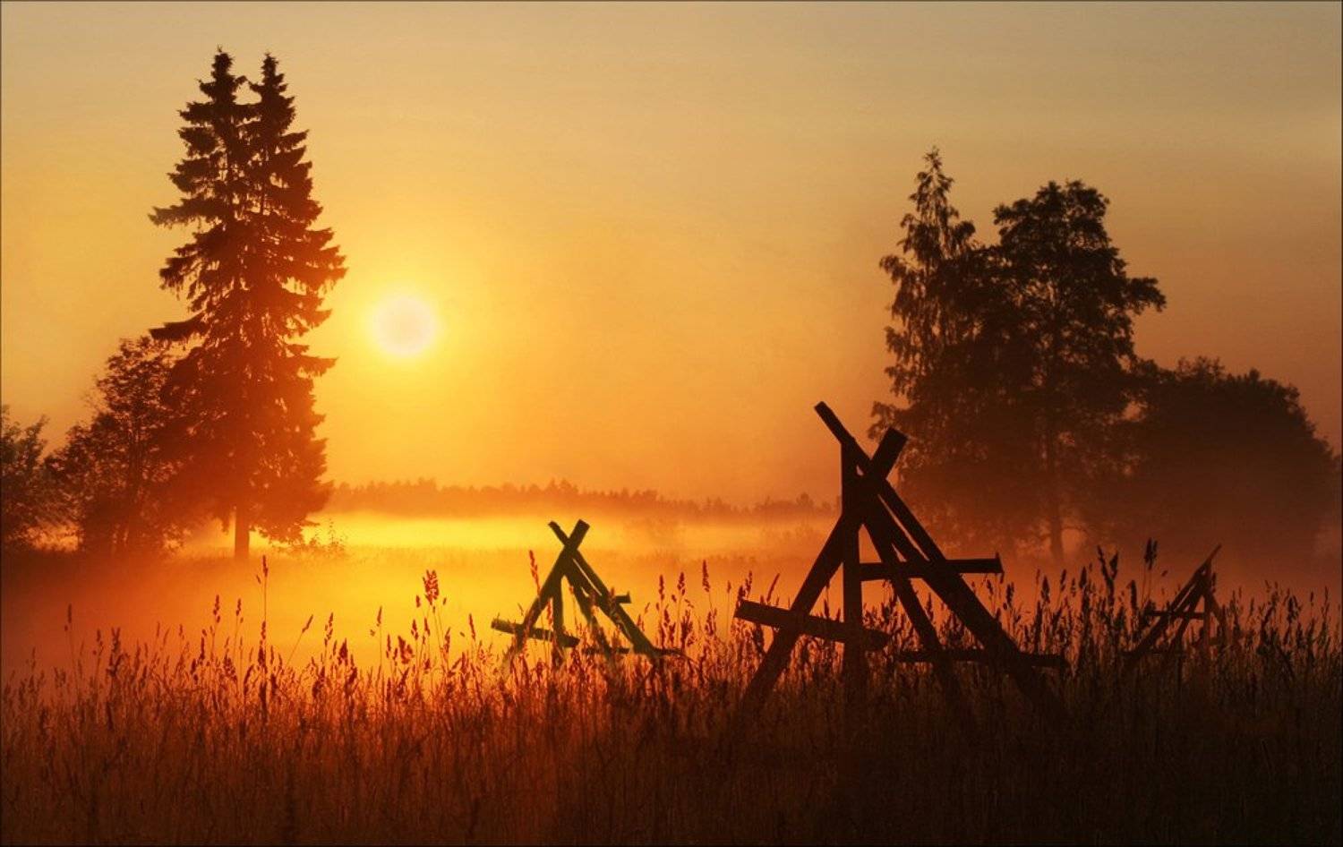 , Инга Иванова