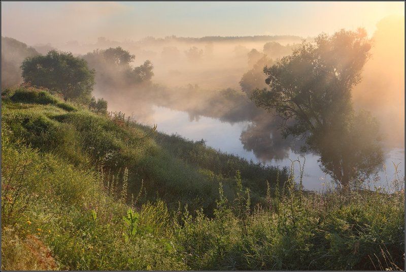 Утренний туман фото превью
