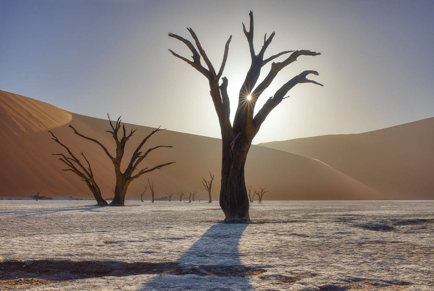 dead vlei, Александр Ипполитов