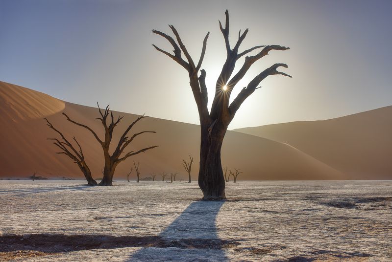 dead vlei Dead vlei фото превью
