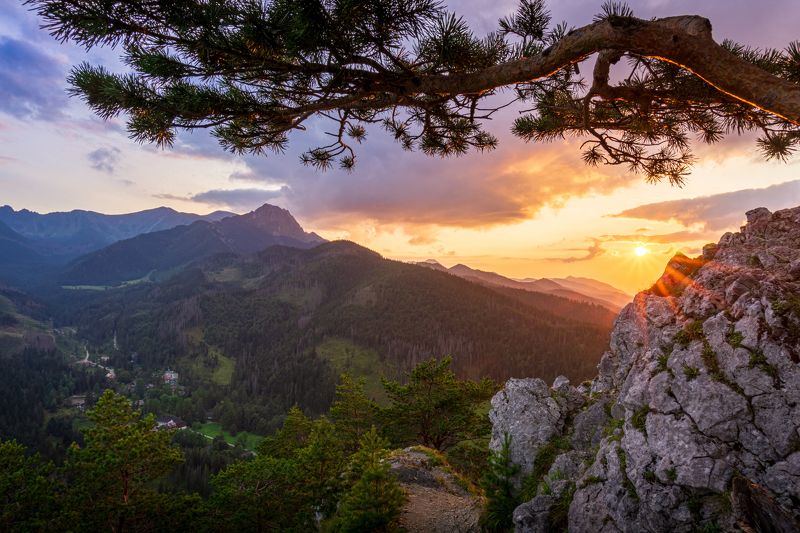 zakopane, kuźnice, kuznice, nosal, tatry, tatras, polska, poland, giewont, mountain, mountains, evening, sunset, sun, summer, sky, tree Evening colors фото превью