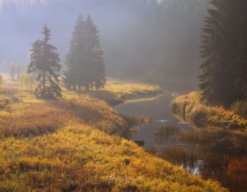 ... прозрачность осени ... фото превью