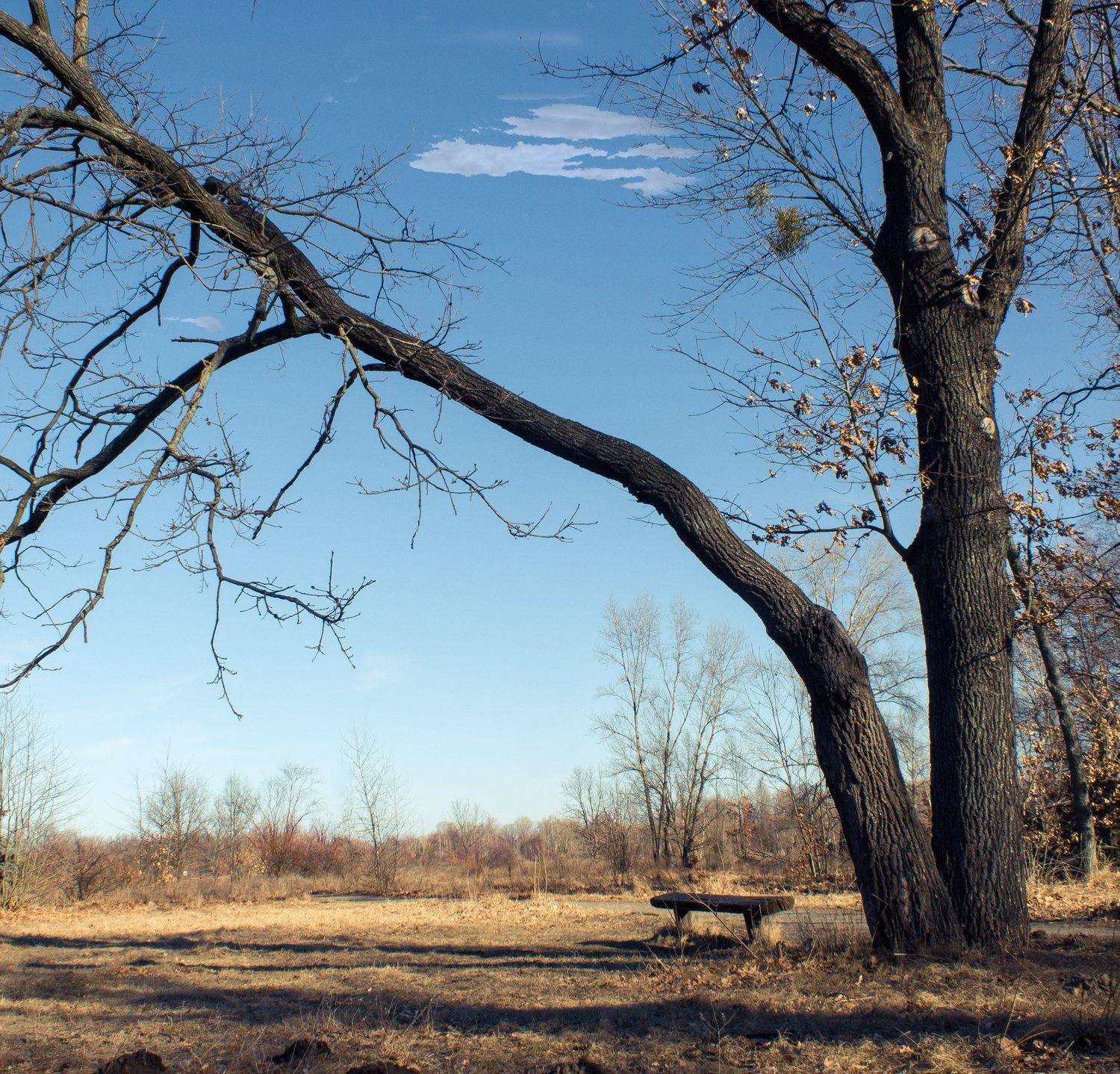 ,  Александр