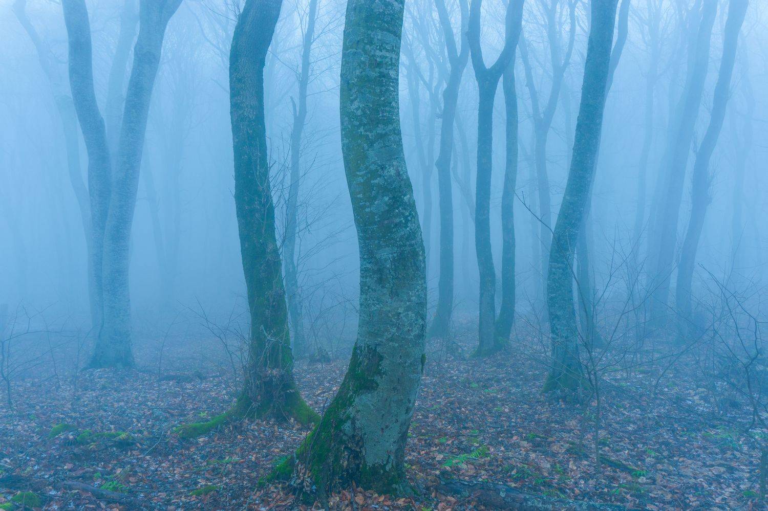 туман, кмв, бештау, Максим