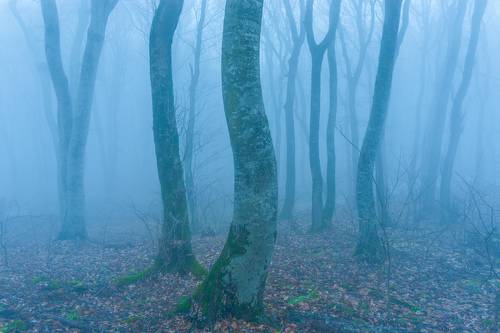 Мокрый декабрь