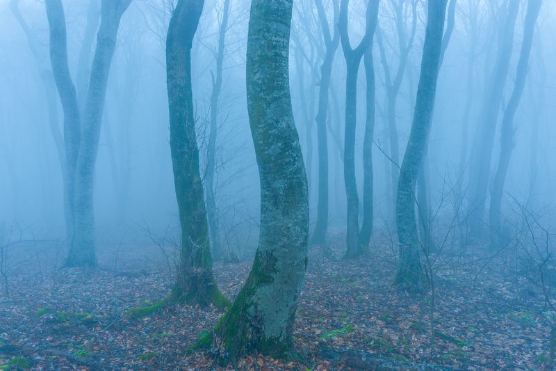 туман, кмв, бештау Мокрый декабрь фото превью