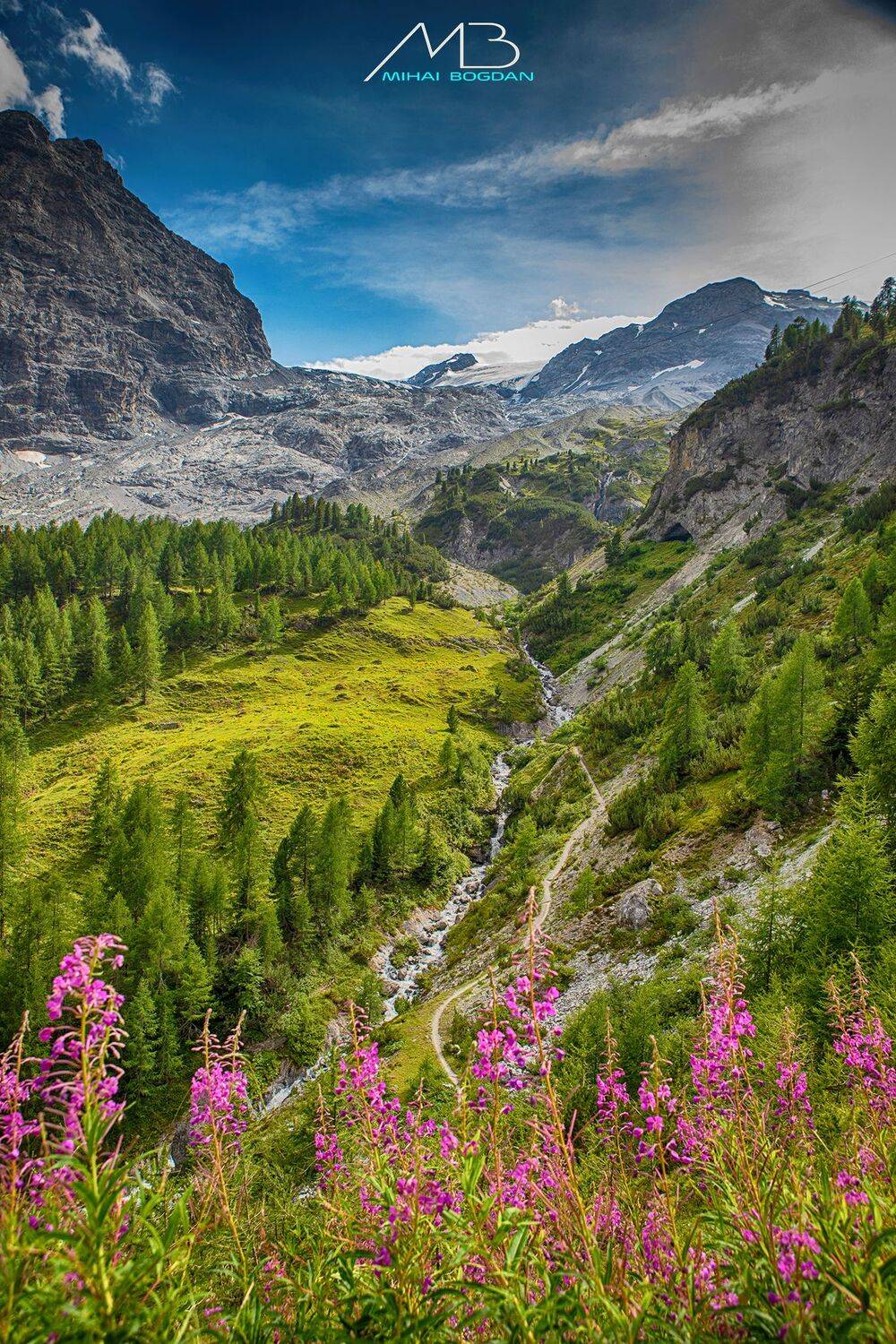 , Mihai Romeo Bogdan