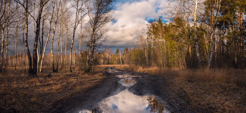 луг зима февраль закат тучи лужи Оттепель в феврале фото превью