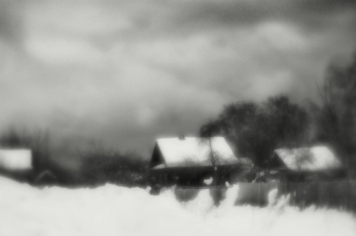 , Лариса Лофицкая