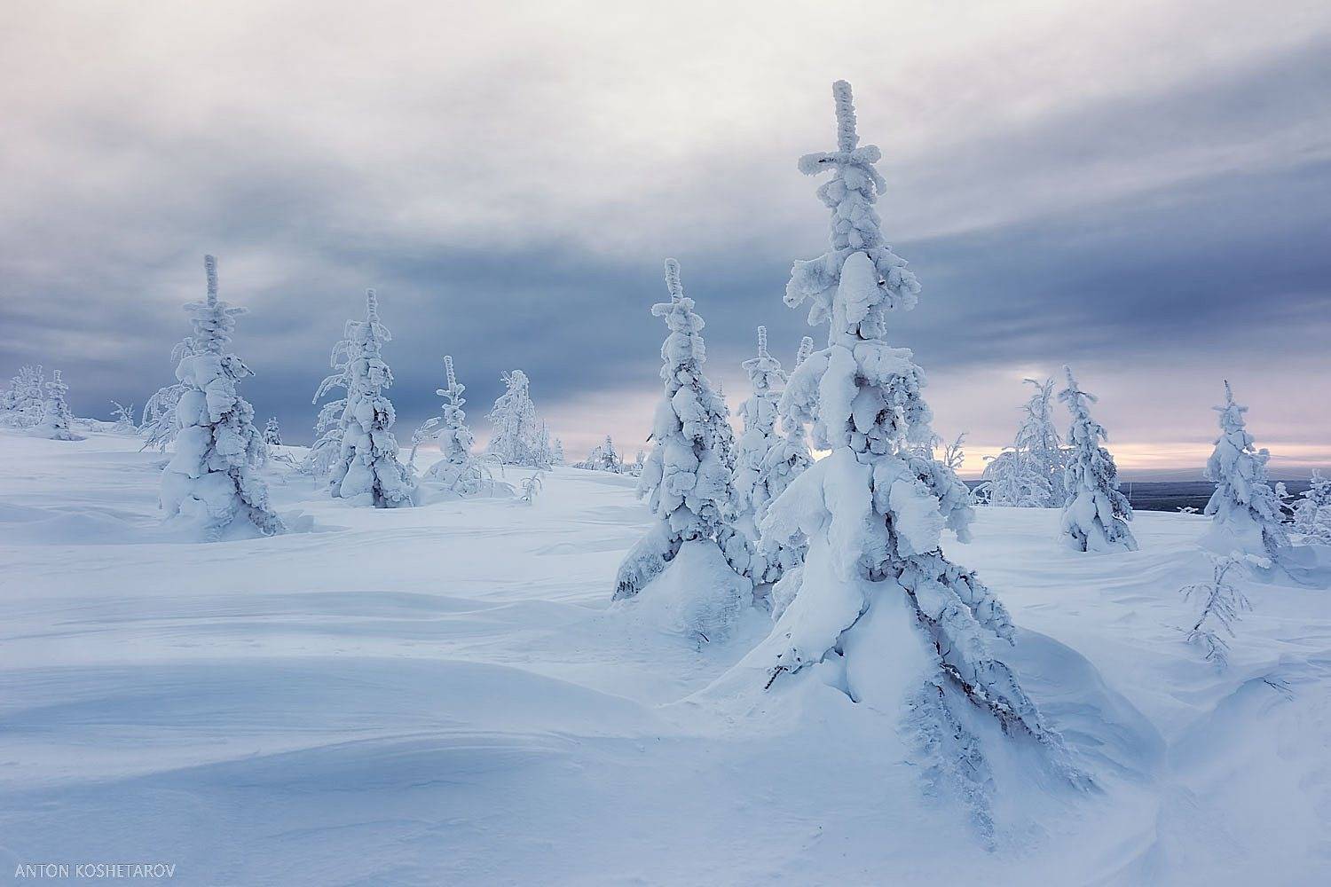 , Антон Кошетаров