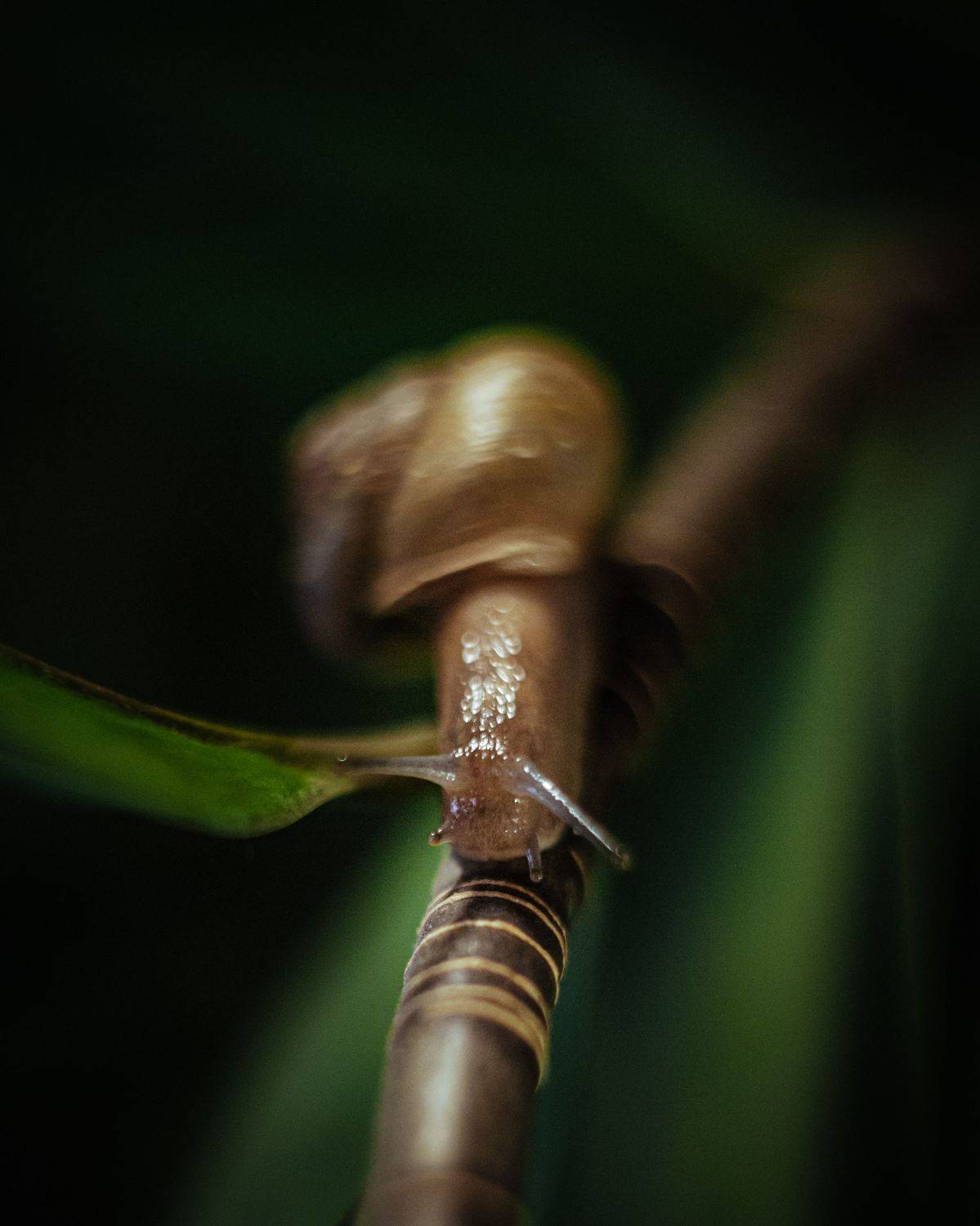 , Динара Зуйкова